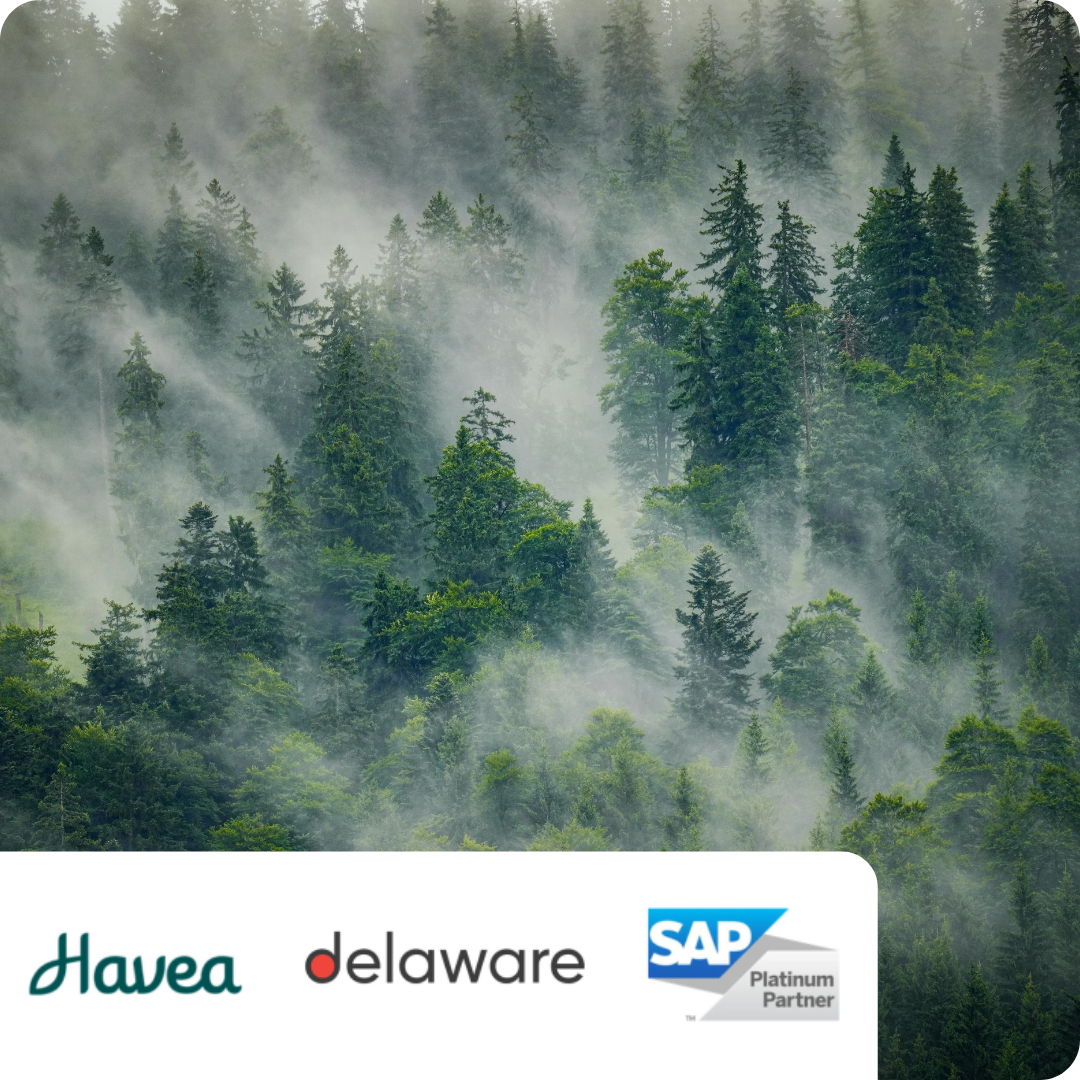 Aterwork Havea - SAP & delaware