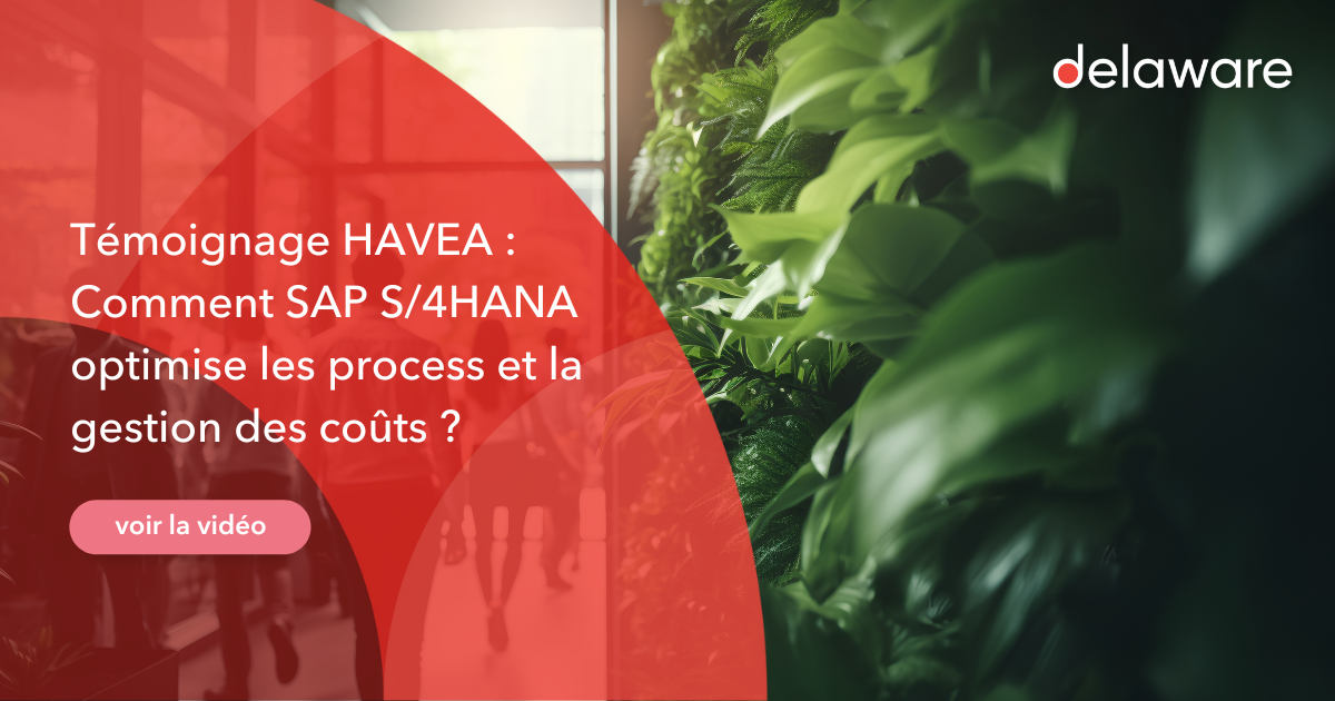 Témoignage Havea, solution ERP SAP agroalimentaire - delaware France