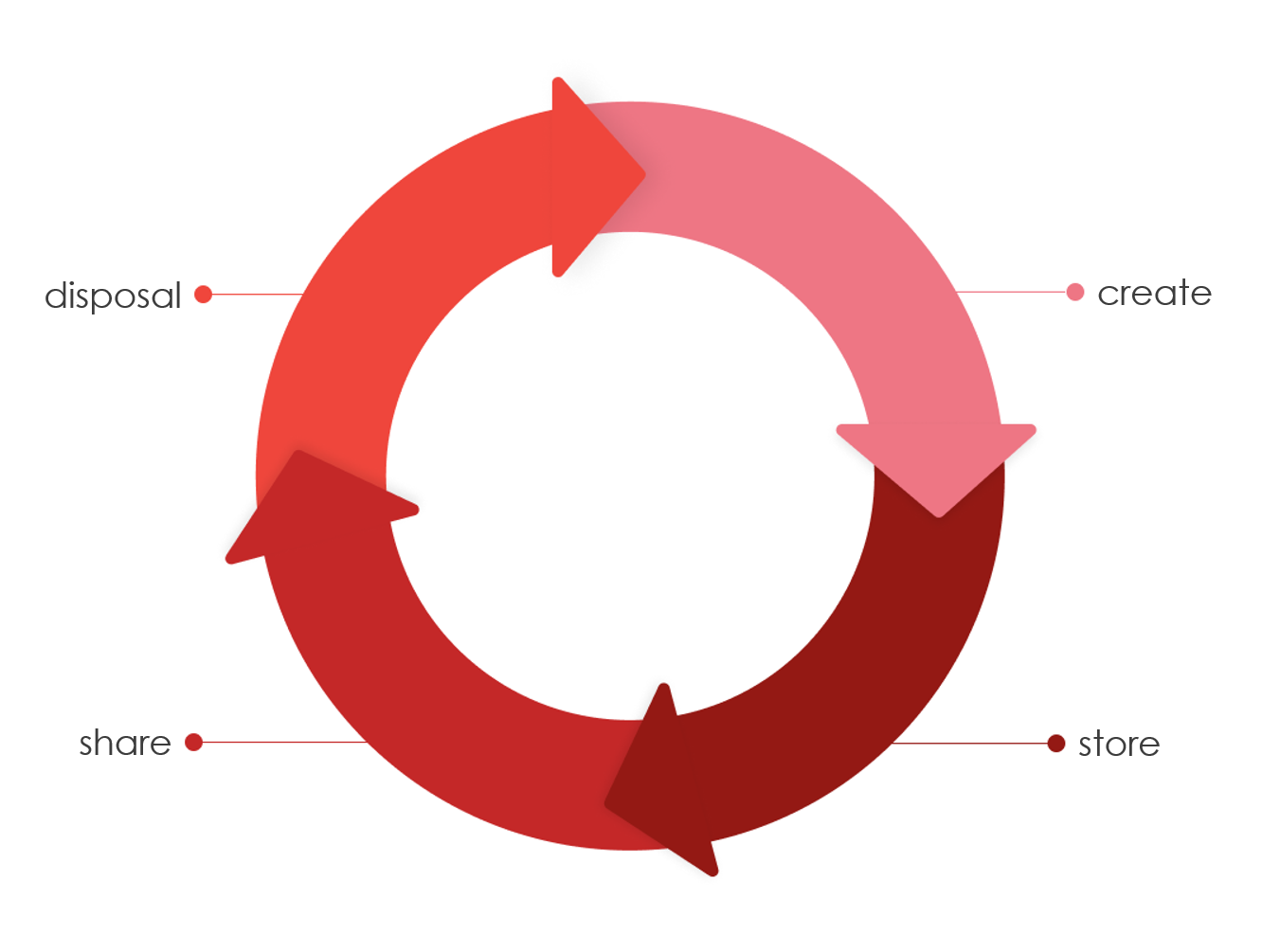 Flow of the knowledge management cycle