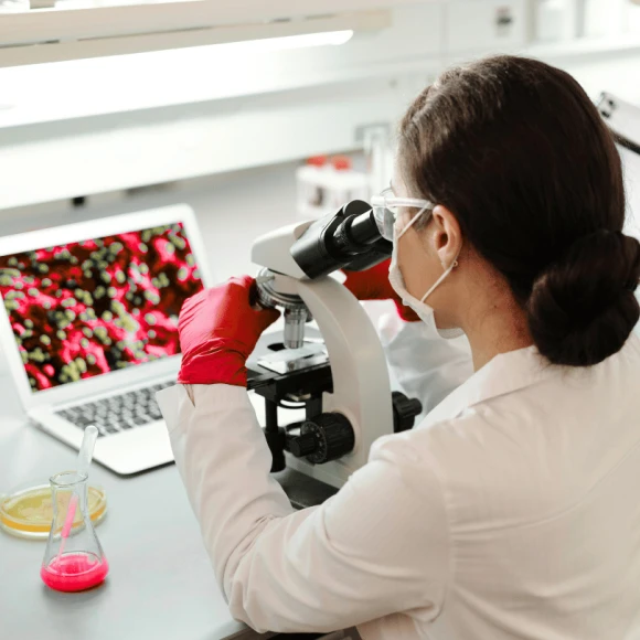 Comment les grandes entreprises pharma, biotech, medtech et CDMO peuvent transformer leurs défis numériques en leviers de performance durable.