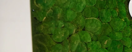 Diversity, Equity & Inclusion at delaware