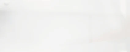 FAST-Retail Public Cloud Edition