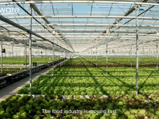 Maak kennis met delaware: IT-partner en trusted advisor voor de voedingsindustrie