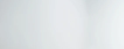 Microsoft Dynamics 365 Business Central