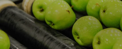 Industrie des fruits et légumes