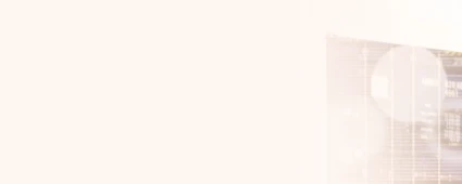 Quantum Optimization