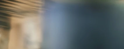 E-book: SAP ECC & SAP S/4HANA