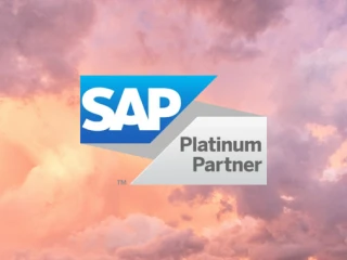 sap platinum partner