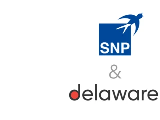 Logos from SNP Group & delaware