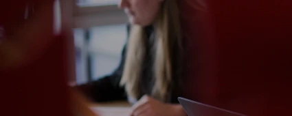 Les services professionnels