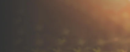 End user productivity