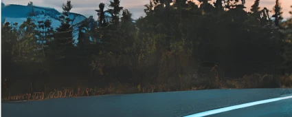 Quel ERP choisir pour booster l'innovation ?