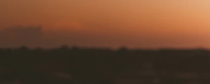 La plateforme d’intégration MuleSoft