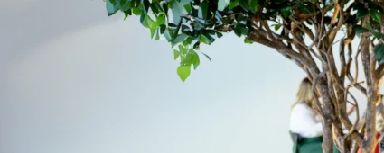 Supply Chain & Operations